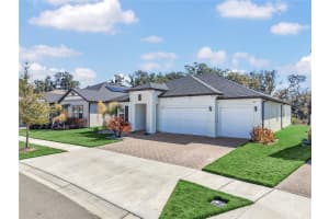 12853 BERGSTROM BAY DRIVE, RIVERVIEW, FL 33579 - MLS#MFRTB8476195