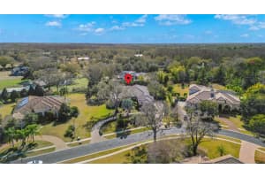 9916 MENANDER WOOD COURT, ODESSA, FL 33556 - MLS#MFRTB8476204