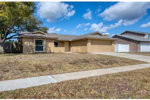 4017 BRAESGATE LANE, TAMPA, FL 33624 - MLS#MFRTB8476206