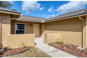 4017 BRAESGATE LANE, TAMPA, FL 33624 - MLS#MFRTB8476206