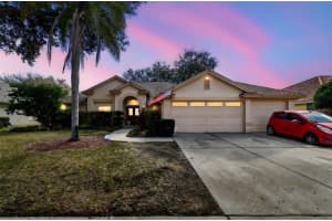 16711 Longleat Dr, LUTZ 16711 Longleat Dr, LUTZ