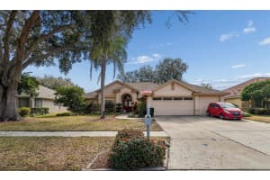 16711 LONGLEAT DRIVE, LUTZ, FL 33549 - MLS#MFRTB8476216