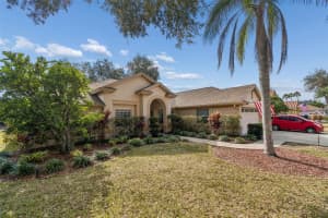 16711 LONGLEAT DRIVE, LUTZ, FL 33549 - MLS#MFRTB8476216