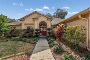 16711 LONGLEAT DRIVE, LUTZ, FL 33549 - MLS#MFRTB8476216