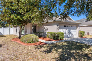 12311 BOOT SPUR WAY, SPRING HILL, FL 34610 - MLS#MFRTB8476251