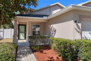 12311 BOOT SPUR WAY, SPRING HILL, FL 34610 - MLS#MFRTB8476251