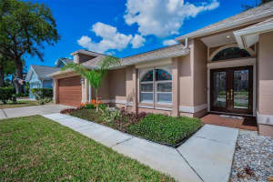 3097 ROBINWOOD LANE, PALM HARBOR, FL 34684 - MLS#MFRTB8476253