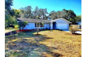 804 Robin Ave, PALM HARBOR
