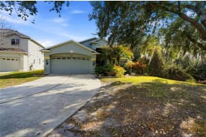 10426 Lucaya Dr, TAMPA