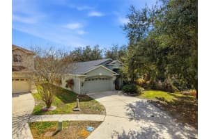 10426 LUCAYA DRIVE, TAMPA, FL 33647 - MLS#MFRTB8476287