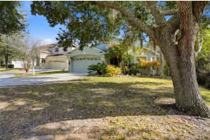 10426 LUCAYA DRIVE, TAMPA, FL 33647 - MLS#MFRTB8476287