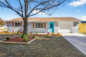 2924 PUMA DRIVE, HOLIDAY, FL 34690 - MLS#MFRTB8476309