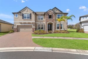 19324 EAGLE CREEK LANE LANE, TAMPA, FL 33647 - MLS#MFRTB8476357