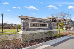 19324 EAGLE CREEK LANE LANE, TAMPA, FL 33647 - MLS#MFRTB8476357