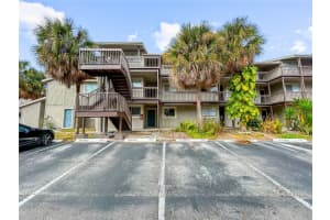 6336 NEWTOWN CIRCLE, TOWN N COUNTRY, FL 33615 - MLS#MFRTB8476376