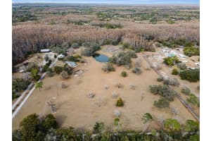 7230 OLD HOMESTEAD ROAD, NEW PORT RICHEY, FL 34654 - MLS#MFRTB8476406