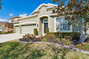 32613 SUMMERGLADE DRIVE, WESLEY CHAPEL, FL 33545 - MLS#MFRTB8476423