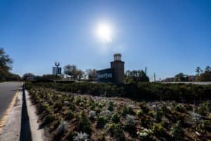 21397 SNOWY ORCHID TERRACE, LAND O LAKES, FL 34637 - MLS#MFRTB8476426