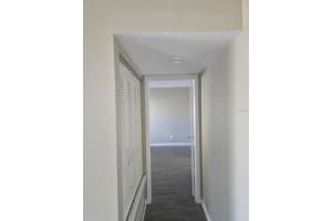 13289 ARBOR POINTE CIRCLE, TAMPA, FL 33617 - MLS#MFRTB8476445