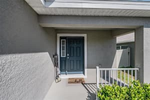 11630 SAW PALMETTO LANE, RIVERVIEW, FL 33569 - MLS#MFRTB8476453