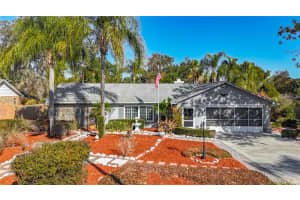 1822 LAUREL OAK DRIVE, VALRICO, FL 33596 - MLS#MFRTB8476475