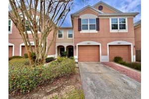 26618 Castleview Way, WESLEY CHAPEL