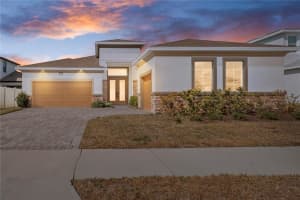 8749 Drummer Plank Dr, WESLEY CHAPEL