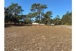 4260 CORBETT AVENUE, HOMOSASSA, FL 34446 - MLS#MFRTB8476497