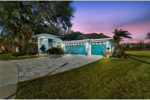 10022 Oxford Chapel Dr, TAMPA