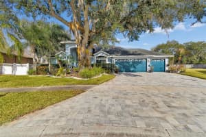 10022 OXFORD CHAPEL DRIVE, TAMPA, FL 33647 - MLS#MFRTB8476515
