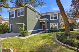 7310 BRIGHTWATER OAKS DRIVE, TAMPA, FL 33625 - MLS#MFRTB8476528
