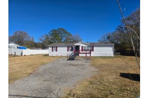 6106 MANGROVE DRIVE, WESLEY CHAPEL, FL 33544 - MLS#MFRTB8476541