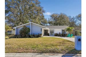 11313 CARROLLWOOD ESTATES DRIVE, TAMPA, FL 33618 - MLS#MFRTB8476545