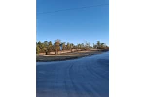 LOT 1 BARNEVELDE ROAD, WEEKI WACHEE, FL 34614 - MLS#MFRTB8476560