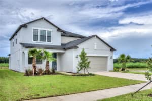 1172 MONTGOMERY BELL ROAD, WESLEY CHAPEL, FL 33543 - MLS#MFRTB8476580