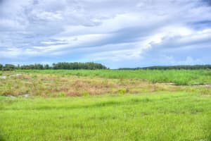 1172 MONTGOMERY BELL ROAD, WESLEY CHAPEL, FL 33543 - MLS#MFRTB8476580