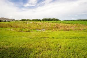 1172 MONTGOMERY BELL ROAD, WESLEY CHAPEL, FL 33543 - MLS#MFRTB8476580