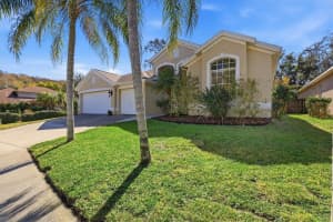 328 LIAM AVENUE, TARPON SPRINGS, FL 34689 - MLS#MFRTB8476595
