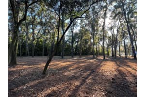 18376 US HWY 301, DADE CITY, FL 33523 - MLS#MFRTB8476626