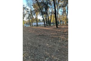 18376 US HWY 301, DADE CITY, FL 33523 - MLS#MFRTB8476626