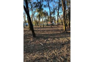 18376 US HWY 301, DADE CITY, FL 33523 - MLS#MFRTB8476626