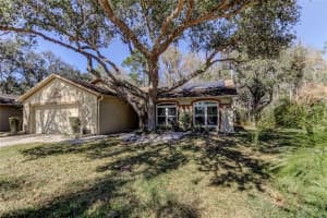 1795 BAYHILL DRIVE, OLDSMAR, FL 34677 - MLS#MFRTB8476650