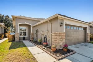 31814 BLYTHEWOOD WAY, WESLEY CHAPEL, FL 33543 - MLS#MFRTB8476655