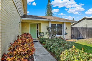 2594 KNOLL STREET, PALM HARBOR, FL 34683 - MLS#MFRTB8476683