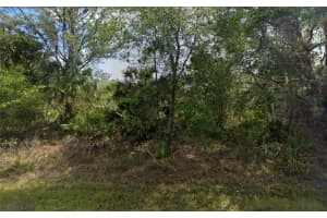 1513 CANDY LANE, PORT CHARLOTTE, FL 33953 - MLS#MFRTB8476686