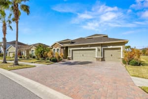 11518 LAKE LUCAYA DRIVE, RIVERVIEW, FL 33579 - MLS#MFRTB8476705