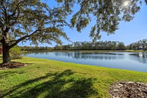 27422 EDENFIELD DRIVE, WESLEY CHAPEL, FL 33544 - MLS#MFRTB8476724