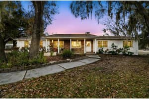 3009 Jim Johnson Rd, PLANT CITY