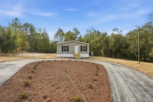 25924 WHIPPERWILL STREET, BROOKSVILLE, FL 34601 - MLS#MFRTB8476734