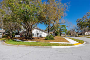 3680 HOLLOW TRAIL COURT, PALM HARBOR, FL 34684 - MLS#MFRTB8476741